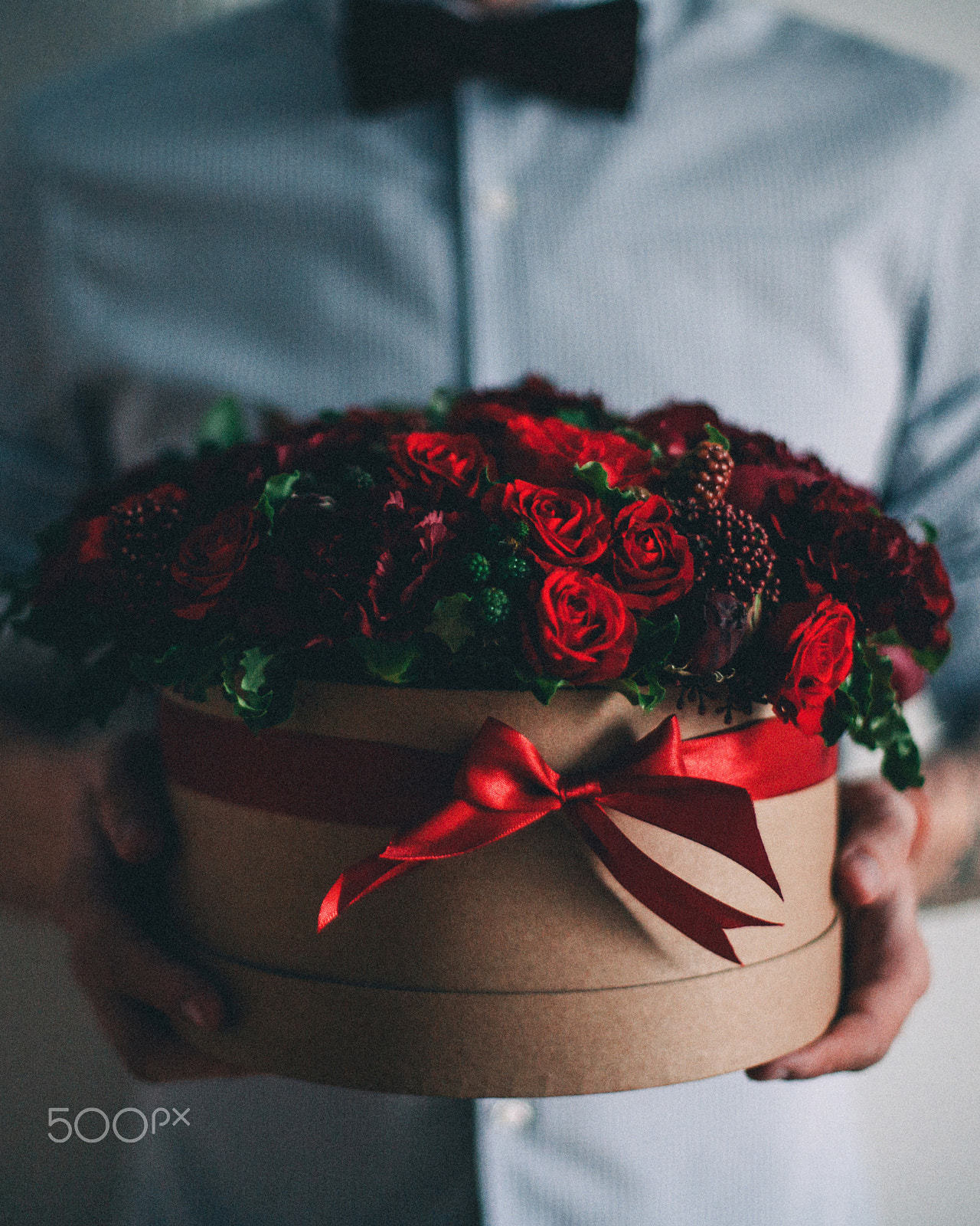 Canon EOS-1Ds Mark II sample photo. Red rose photography