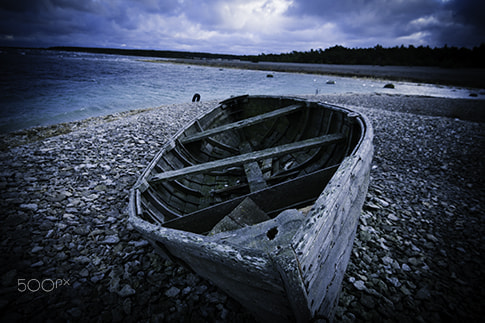 Sony ILCA-77M2 sample photo. The big coast at gotland photography