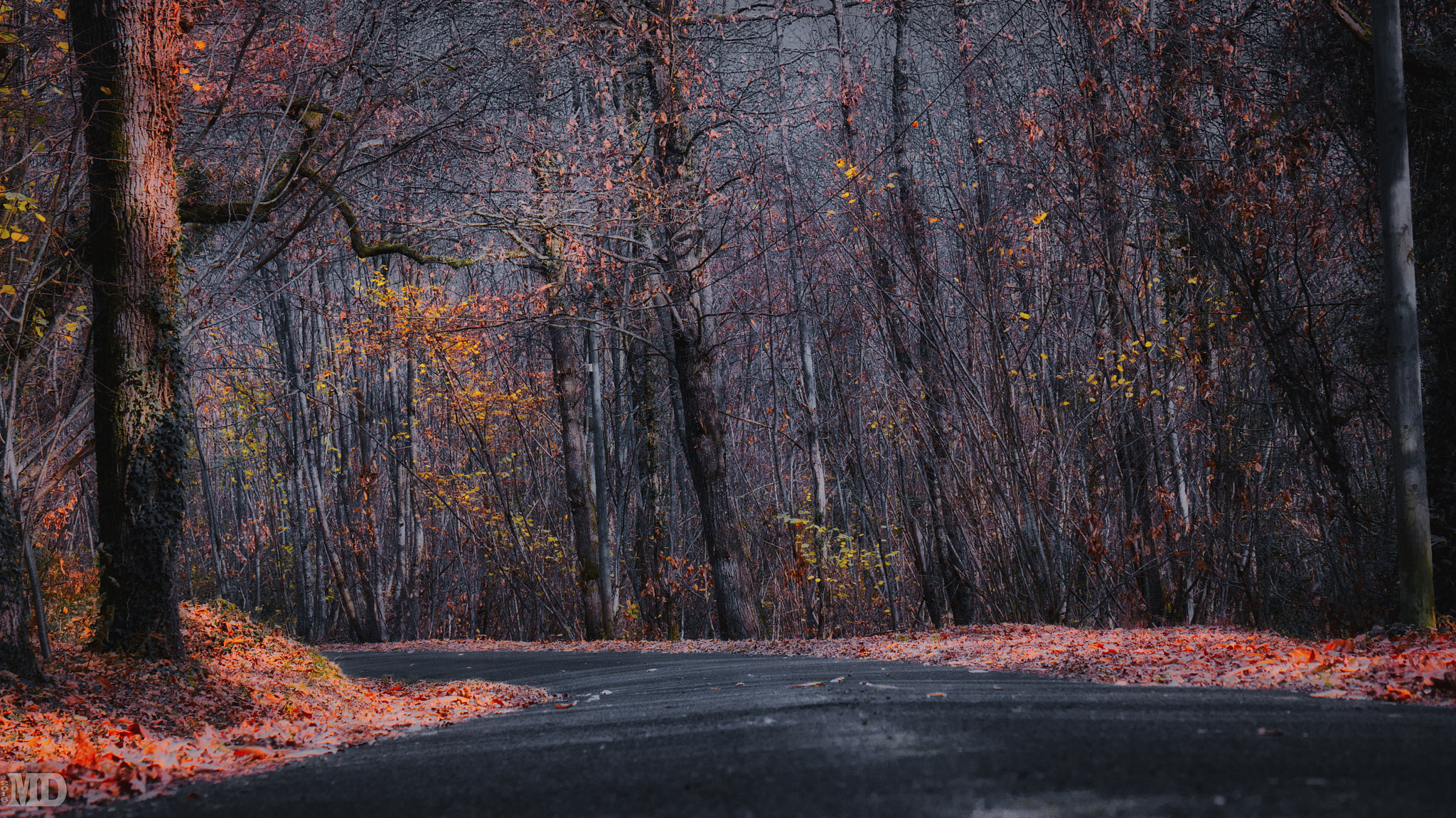 Sony Alpha NEX-5R sample photo. Low bend photography