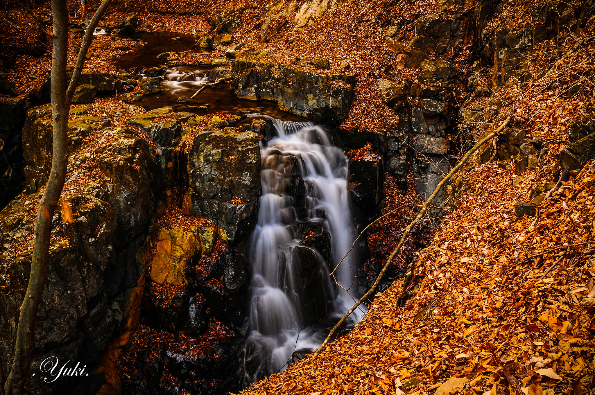 Nikon AF-S Nikkor 17-35mm F2.8D ED-IF sample photo. 十国渓谷 初冬Ⅱ photography