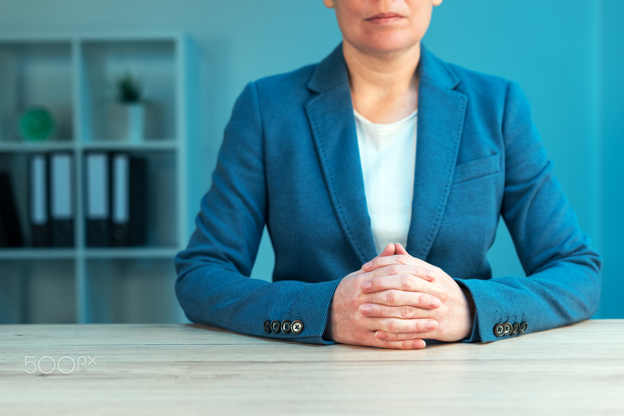 Business negotiation skills with female executive at office desk