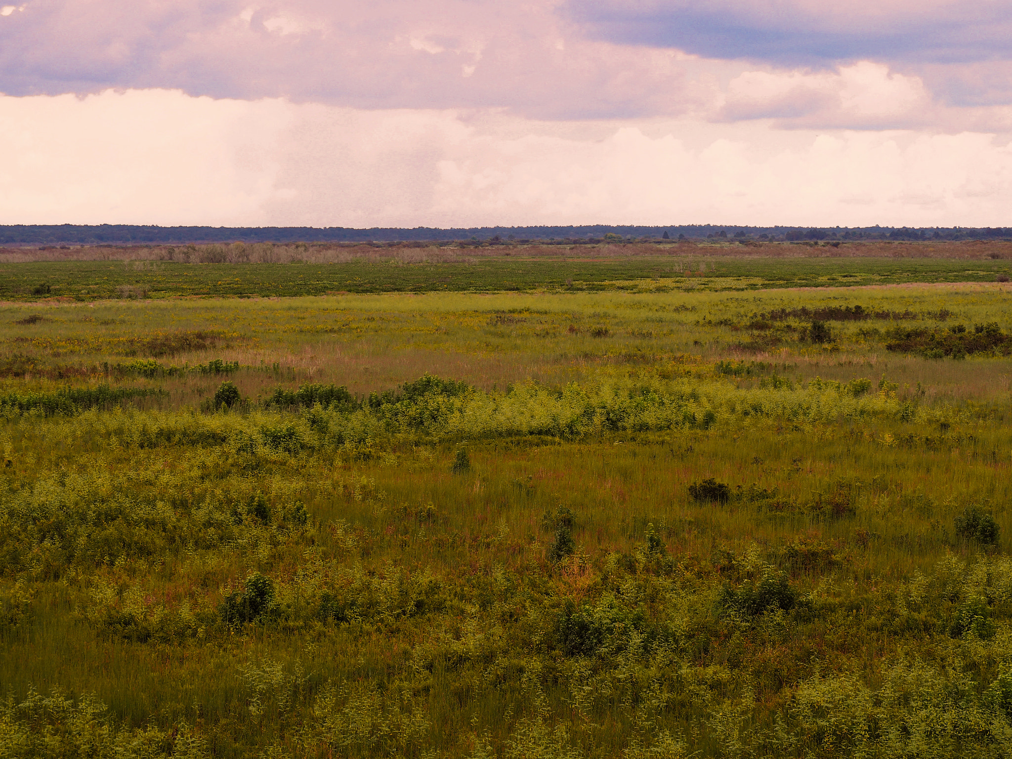 Olympus OM-D E-M5 II sample photo. Dark and stormy on the prairie photography