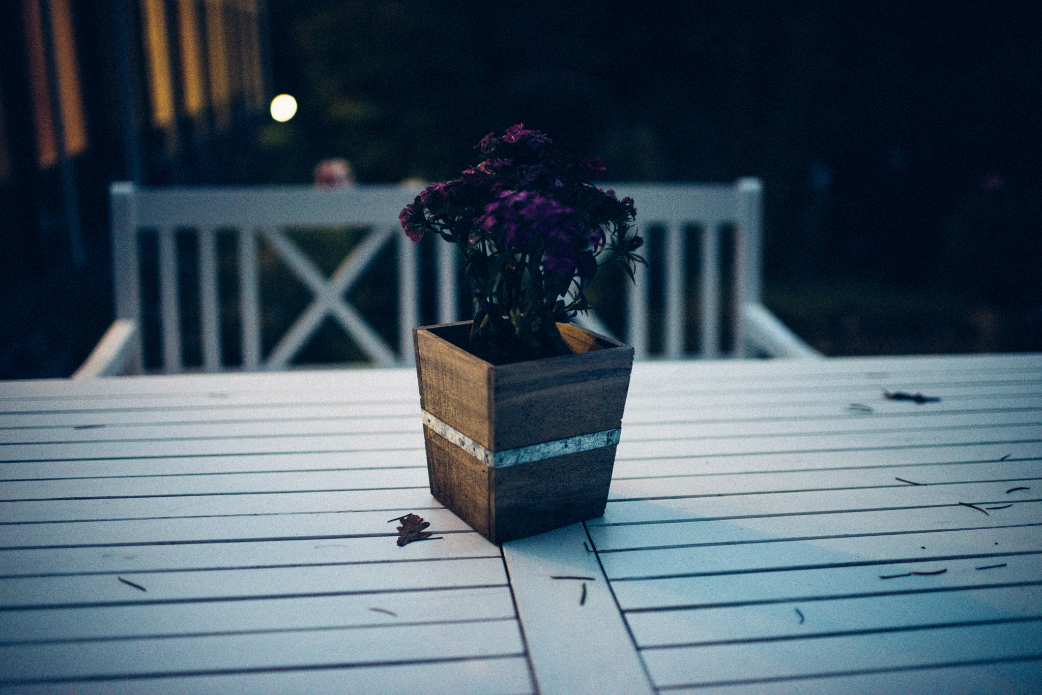 Nikon D810 + Nikon AF-S Nikkor 35mm F1.4G sample photo. Lila photography