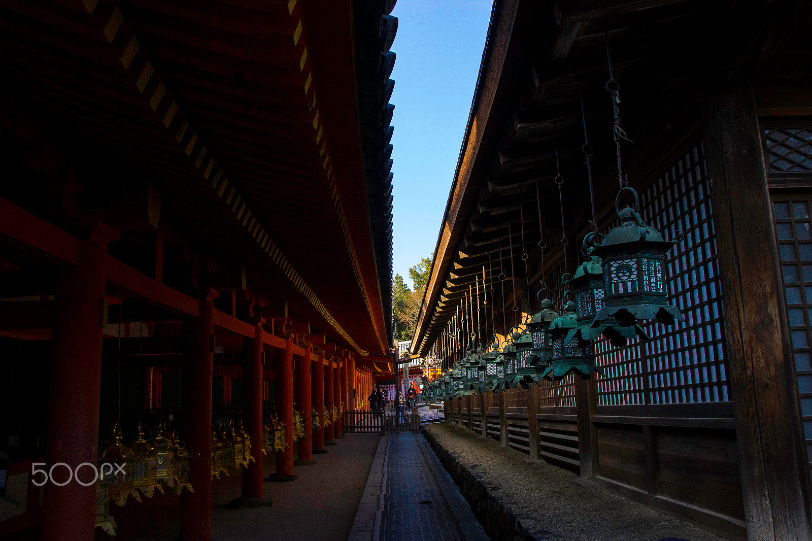 Sigma 18-250mm F3.5-6.3 DC OS HSM sample photo. Kyoto's street photography