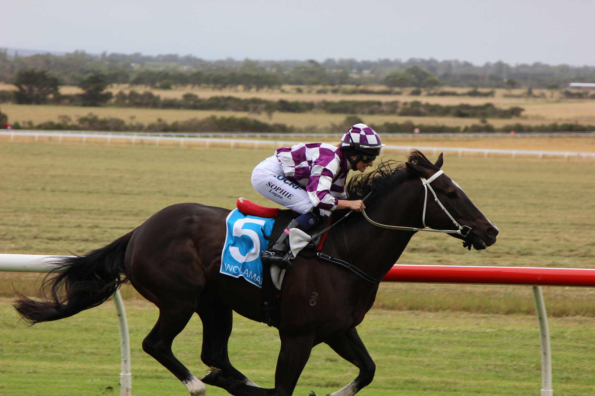 Canon EOS 600D (Rebel EOS T3i / EOS Kiss X5) sample photo. Woolamai picnic races  photography