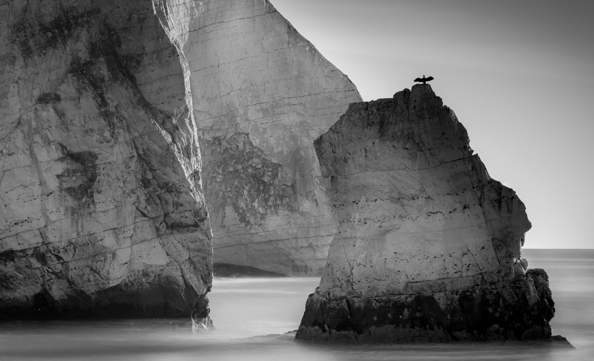 Sony a7R + Sony FE 70-200mm F4 G OSS sample photo. Black bird, seaford photography