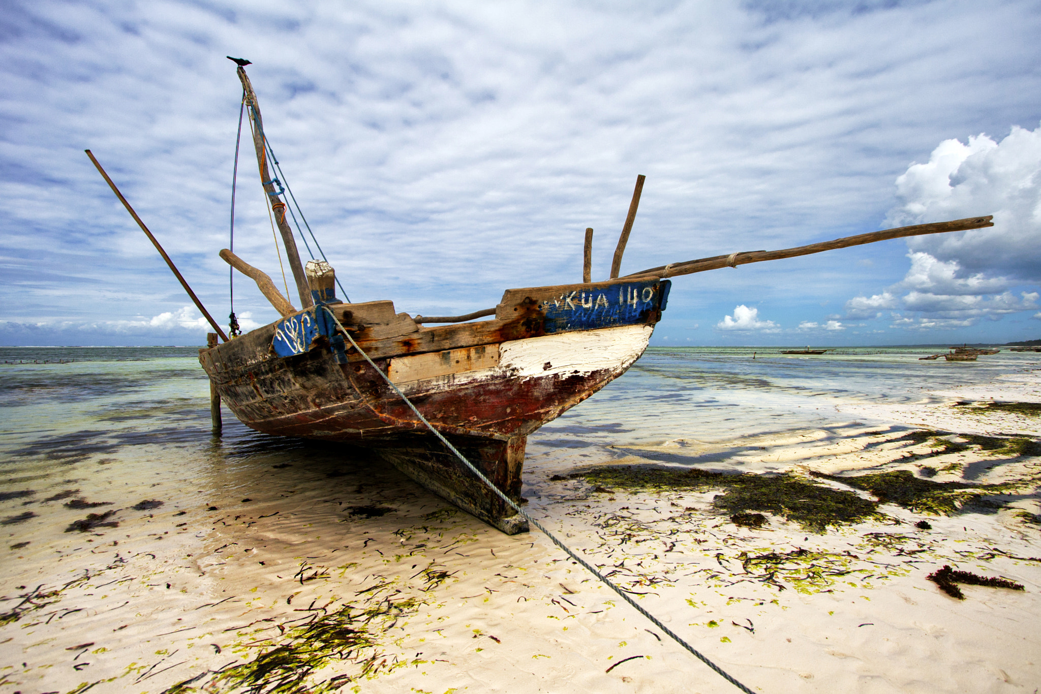 Canon EOS 30D sample photo. Bird on a dhow photography