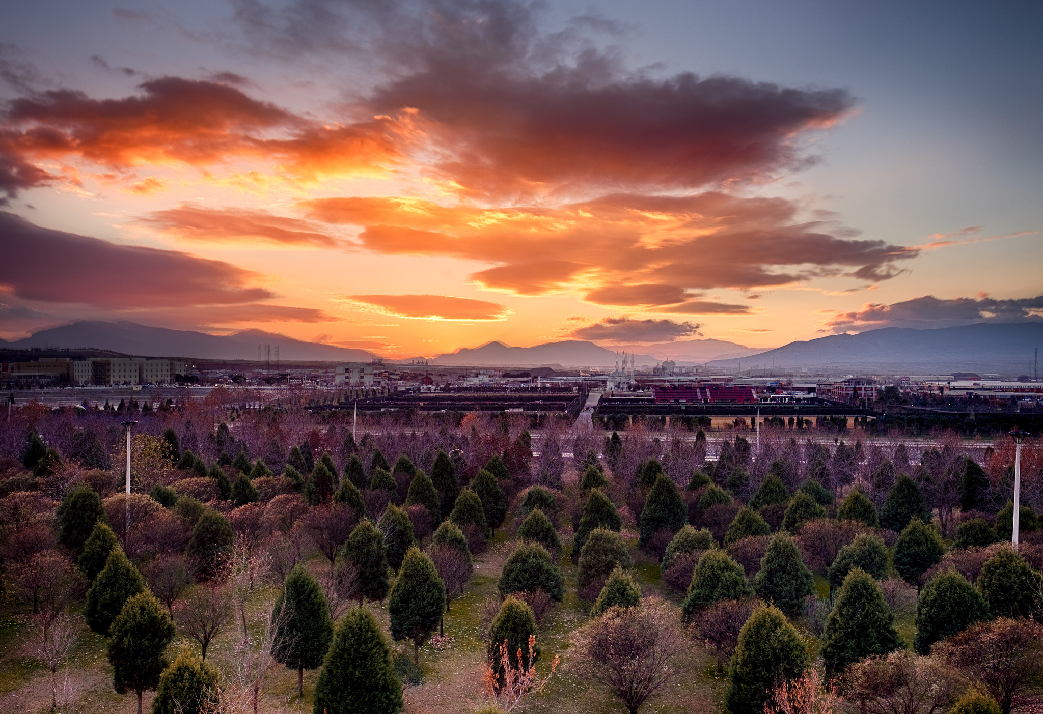 Fujifilm X-T10 + Fujifilm XF 16mm F1.4 R WR sample photo. A winter sunset photography