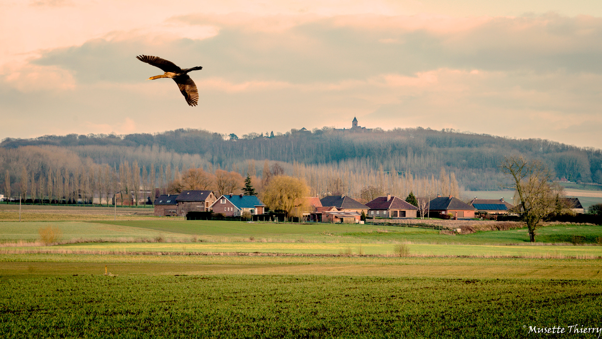 Sigma 18-250mm F3.5-6.3 DC OS HSM sample photo. The village photography