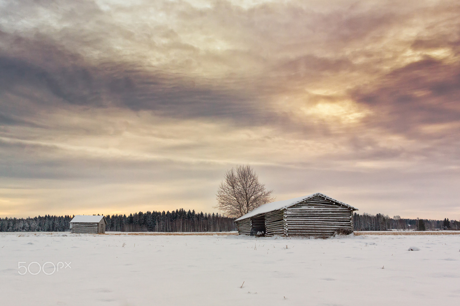 Canon EF-S 24mm F2.8 STM sample photo. Two barn houses on the winter fields photography