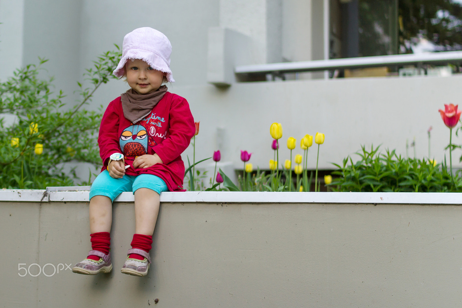 Sigma 30mm F1.4 EX DC HSM sample photo. Flowers photography