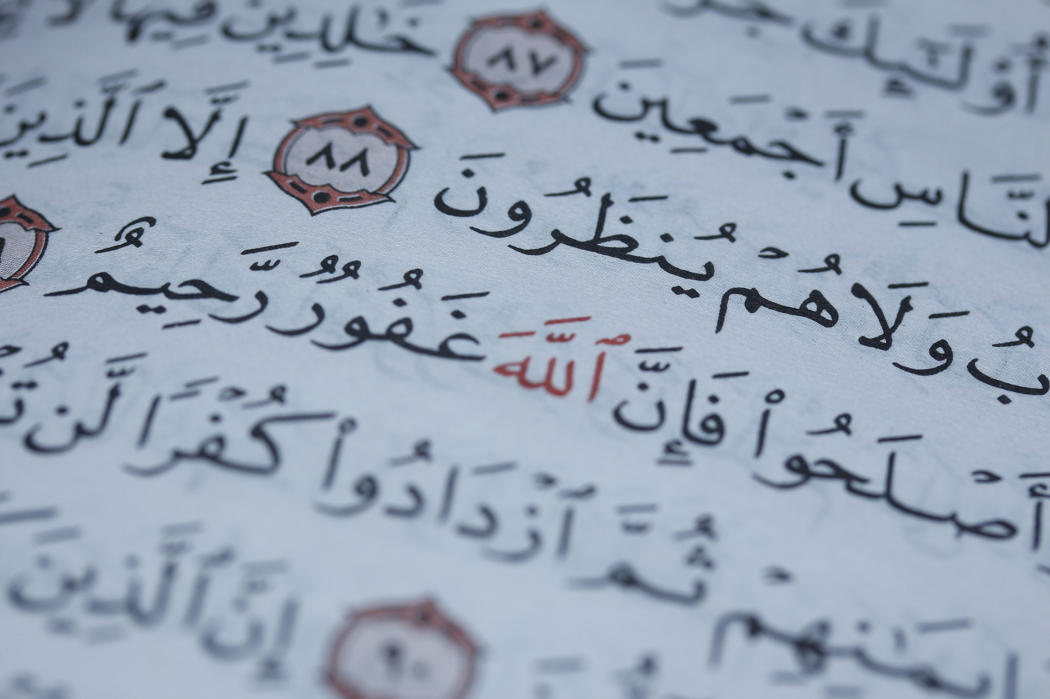 Canon EF-S 60mm F2.8 Macro USM sample photo. Quran photography