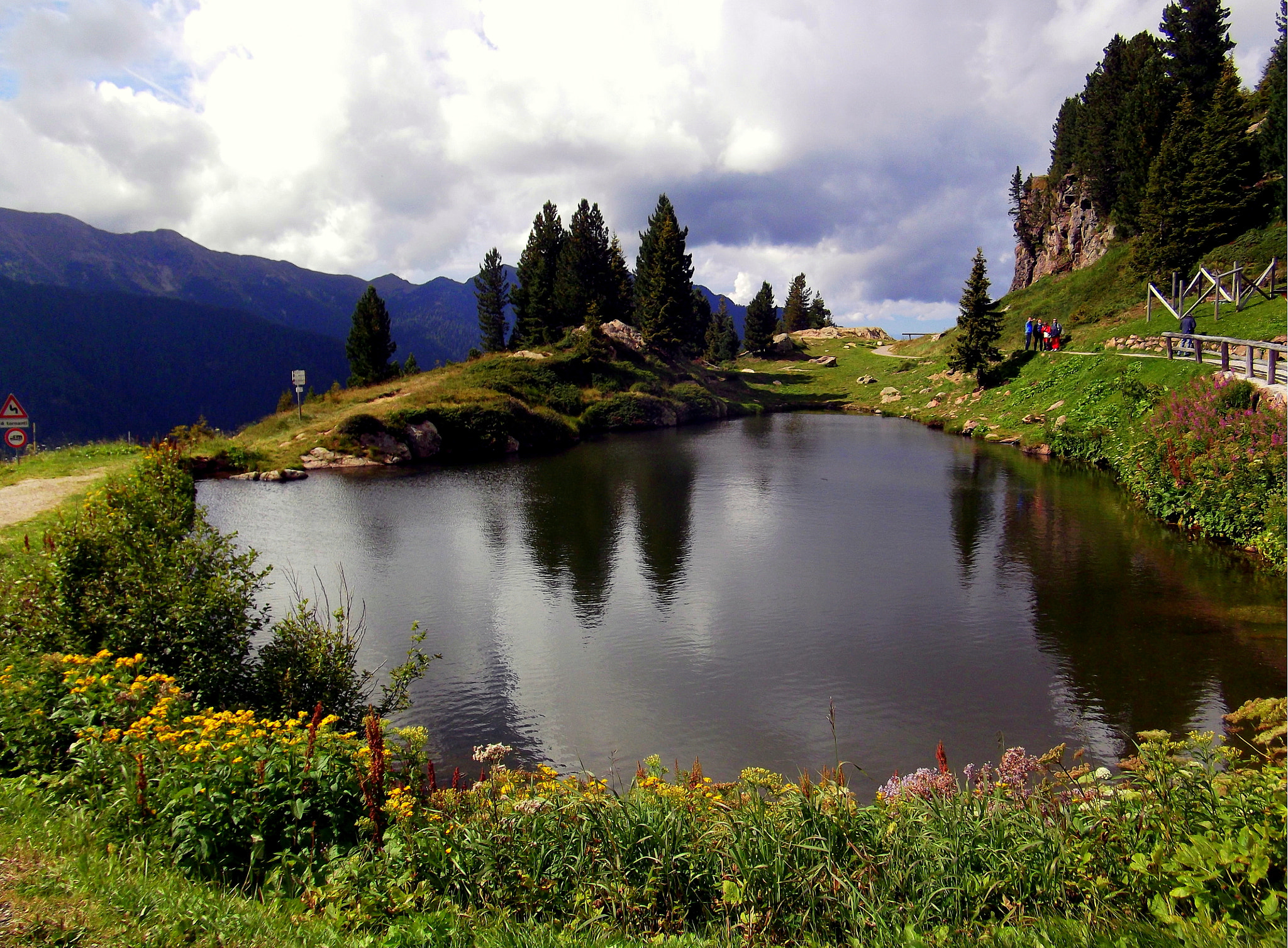 Fujifilm FinePix JX250 sample photo. Il piccolo lago di cadinello e i fiori attorno. photography