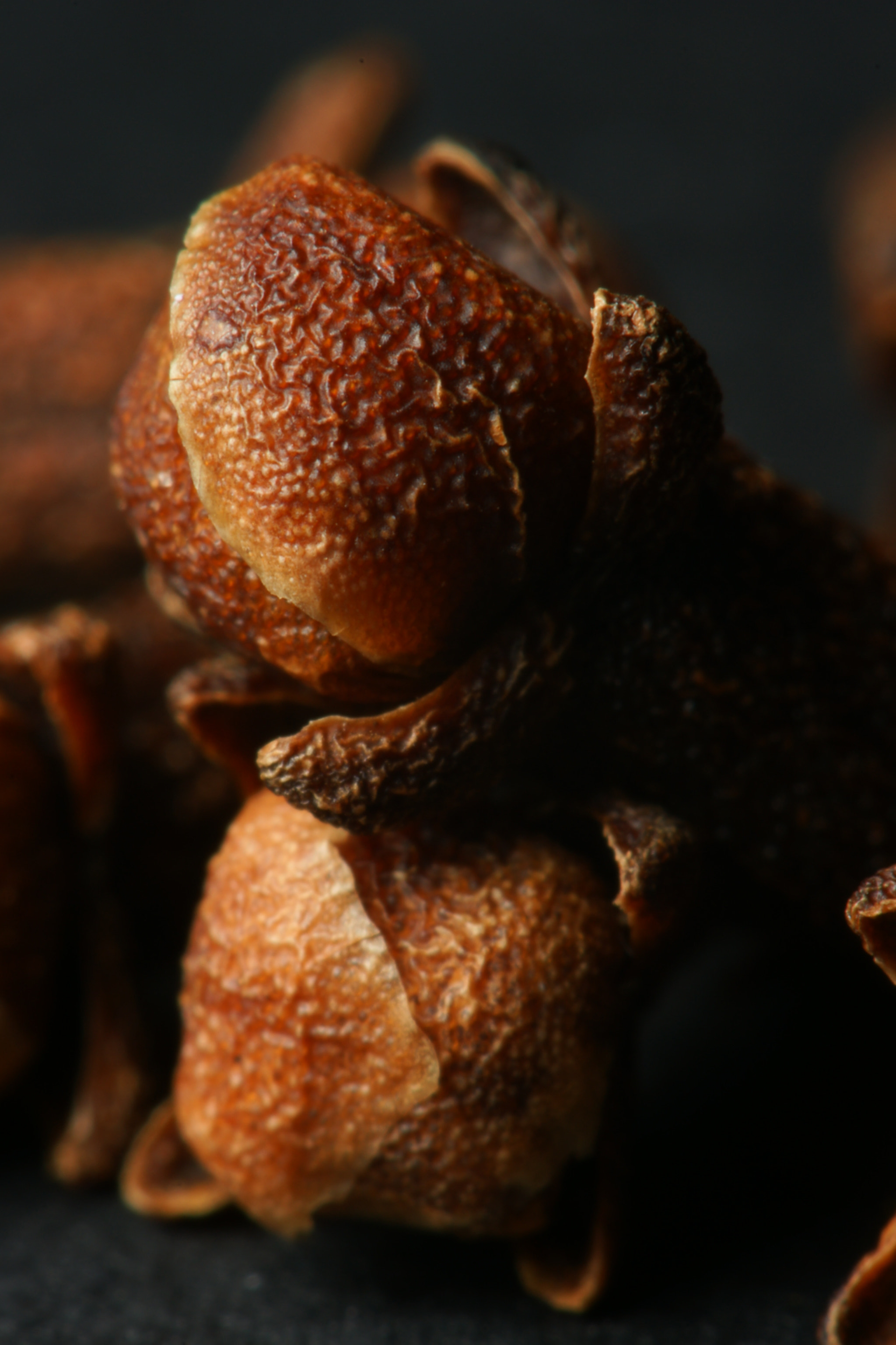 Sony 100mm F2.8 Macro sample photo. Cloves photography