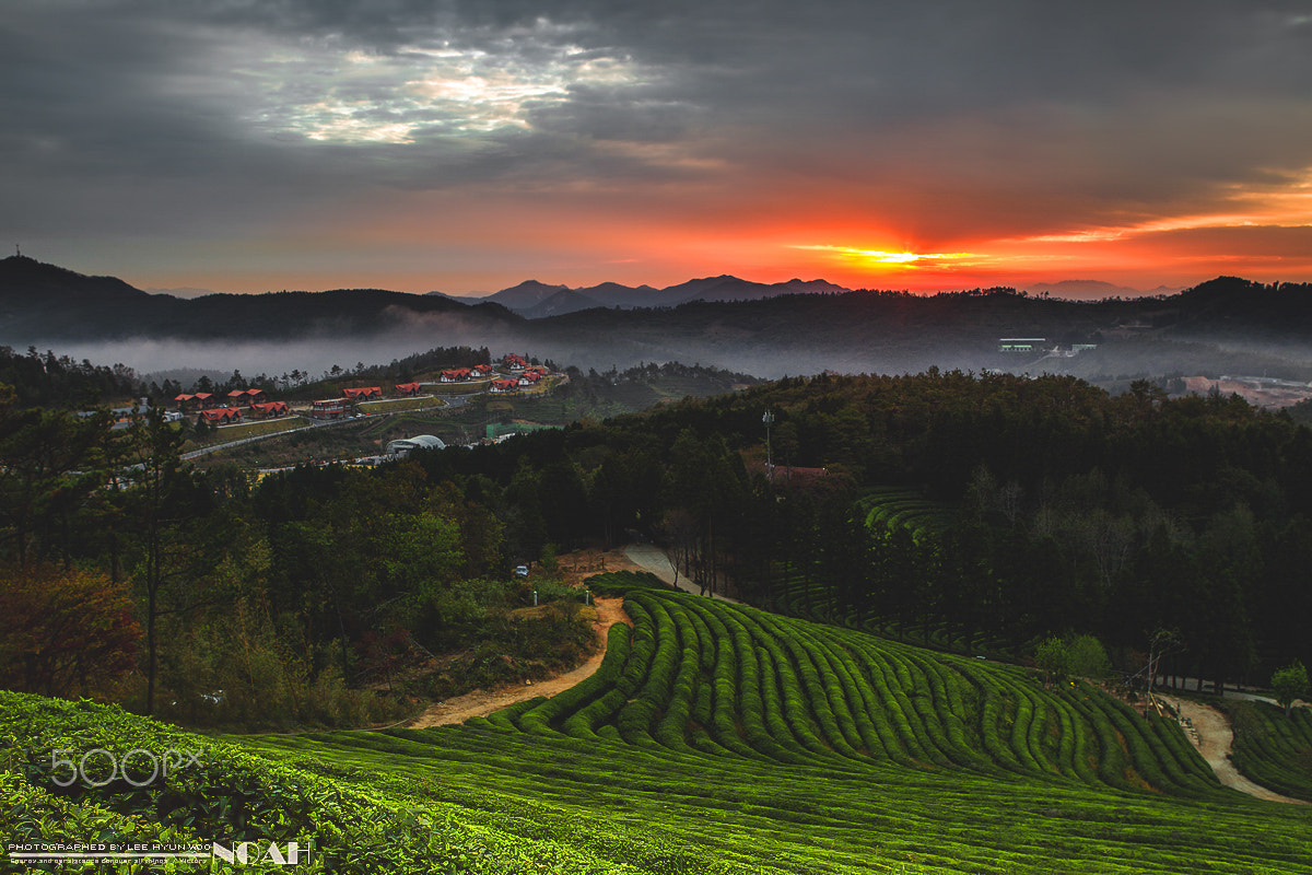 Canon EOS-1D Mark IV sample photo. Sunrise! photography