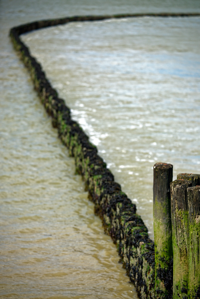 AF-S Zoom-Nikkor 80-200mm f/2.8D IF-ED sample photo. Sea photography