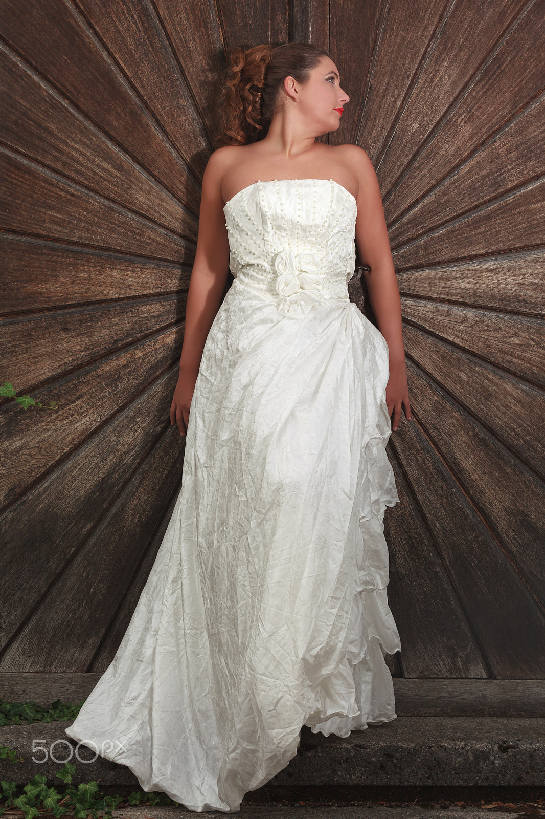 Tamron SP AF 70-200mm F2.8 Di LD (IF) MACRO sample photo. Beautiful bride in her wedding gown photography