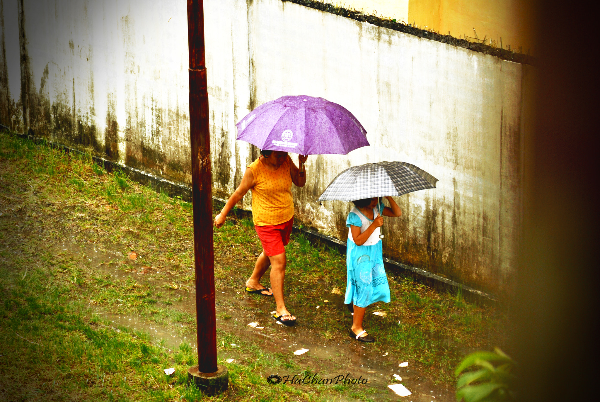 Nikon D3000 sample photo. Come home photography