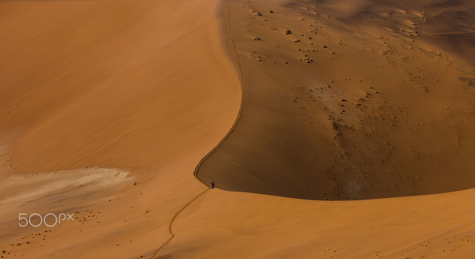 Canon EOS 6D + Canon EF 300mm F4L IS USM sample photo. Img photography