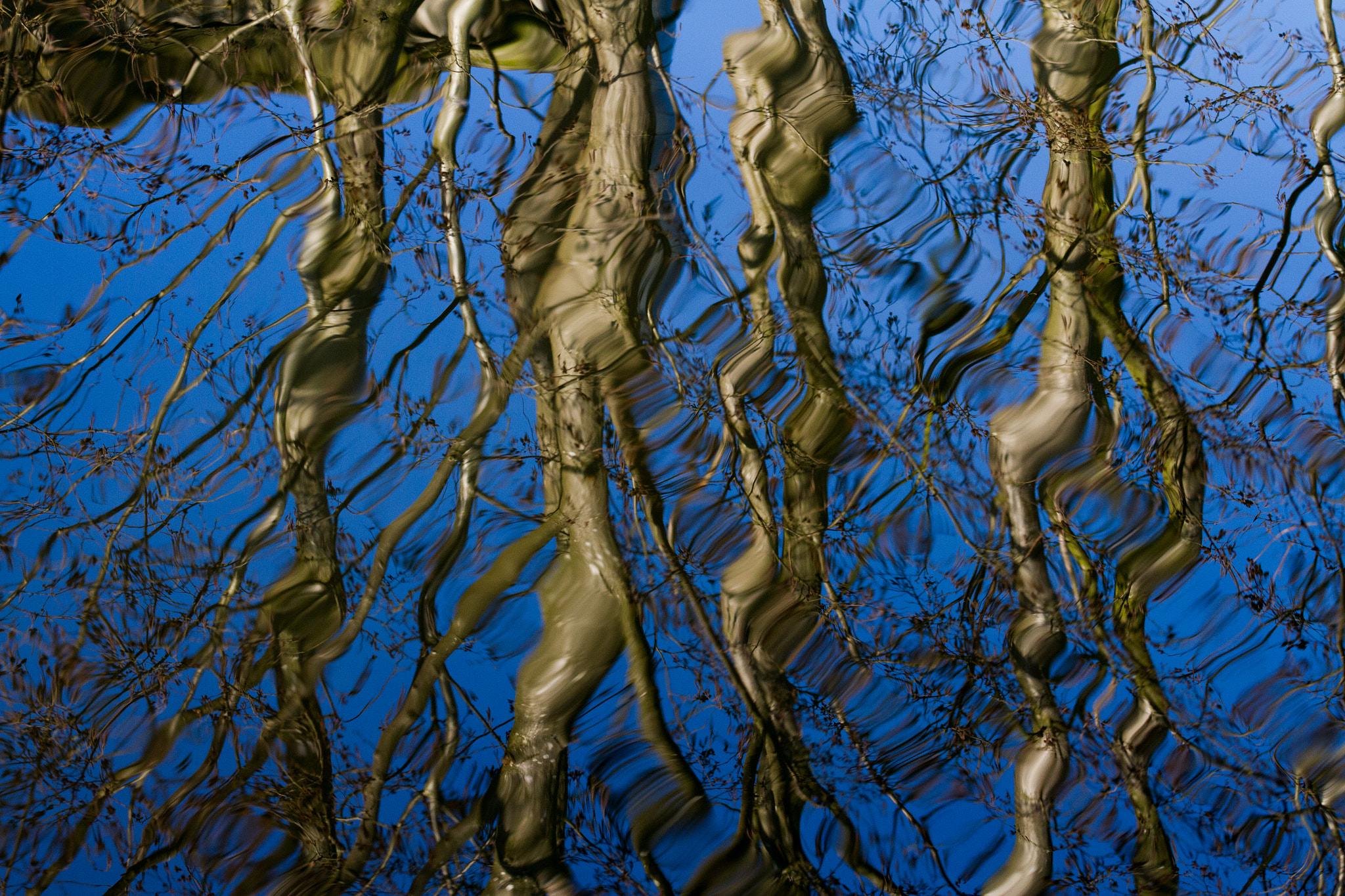 Canon EF 75-300mm f/4-5.6 USM sample photo. Rippled photography