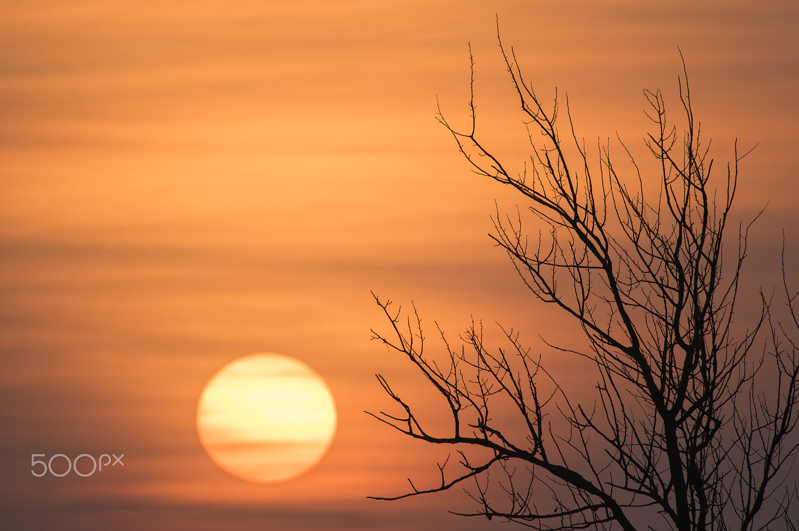 Pentax smc DA* 300mm F4.0 ED (IF) SDM sample photo. Foggy sunrise photography