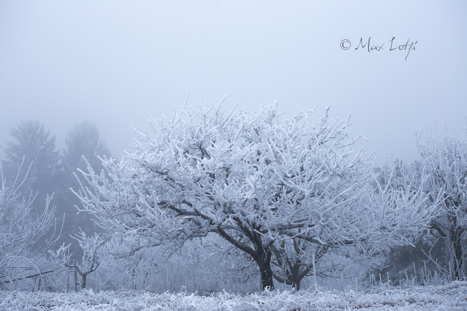 Canon EF 75-300mm f/4-5.6 USM sample photo. Landscape in the mist photography