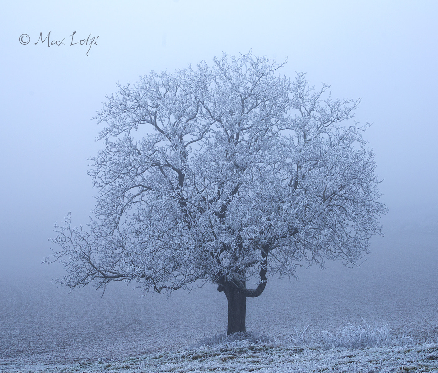 Canon EF 75-300mm f/4-5.6 USM sample photo. Landscape in the mist photography