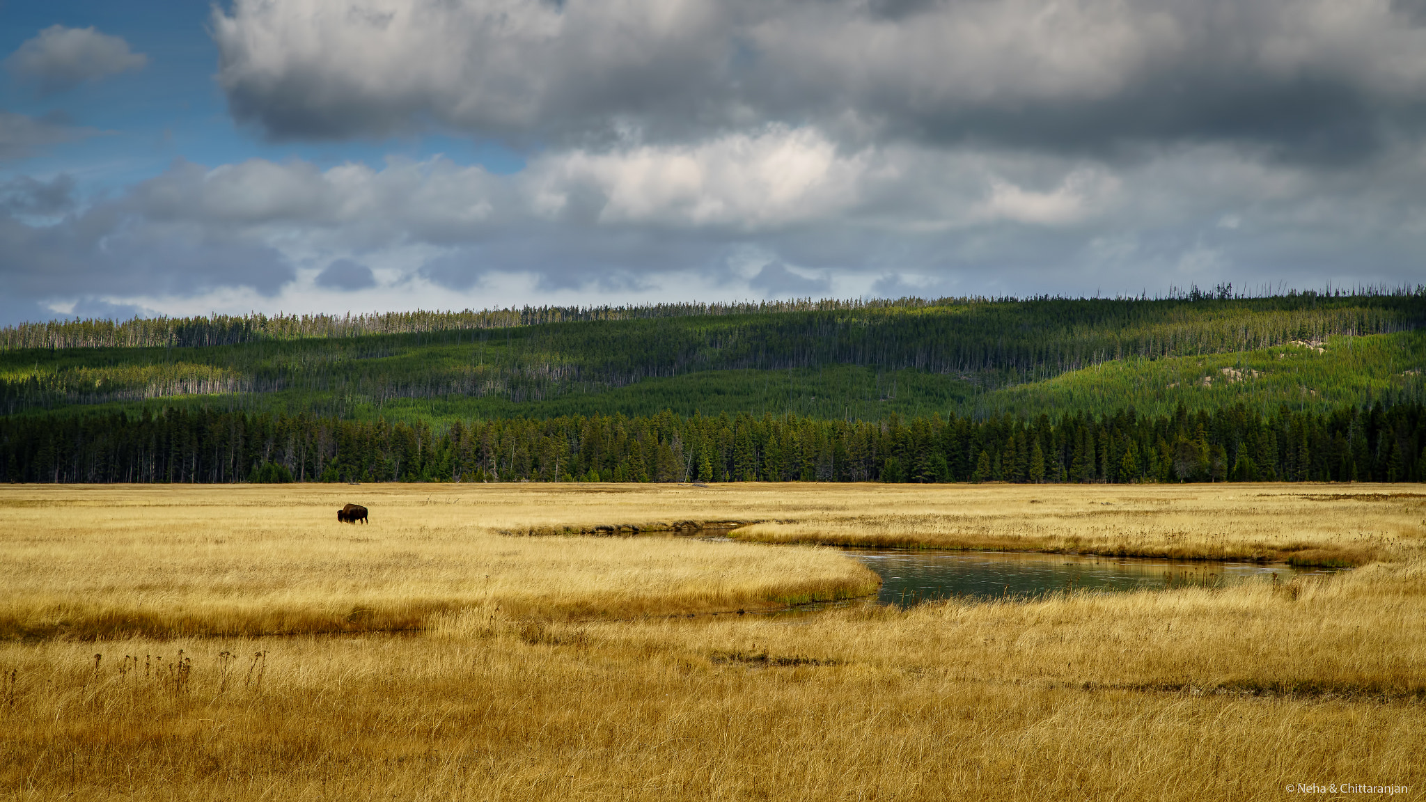 Sony a7R II + Canon EF 24-105mm F4L IS USM sample photo. It's lonely at the top, but you eat better photography
