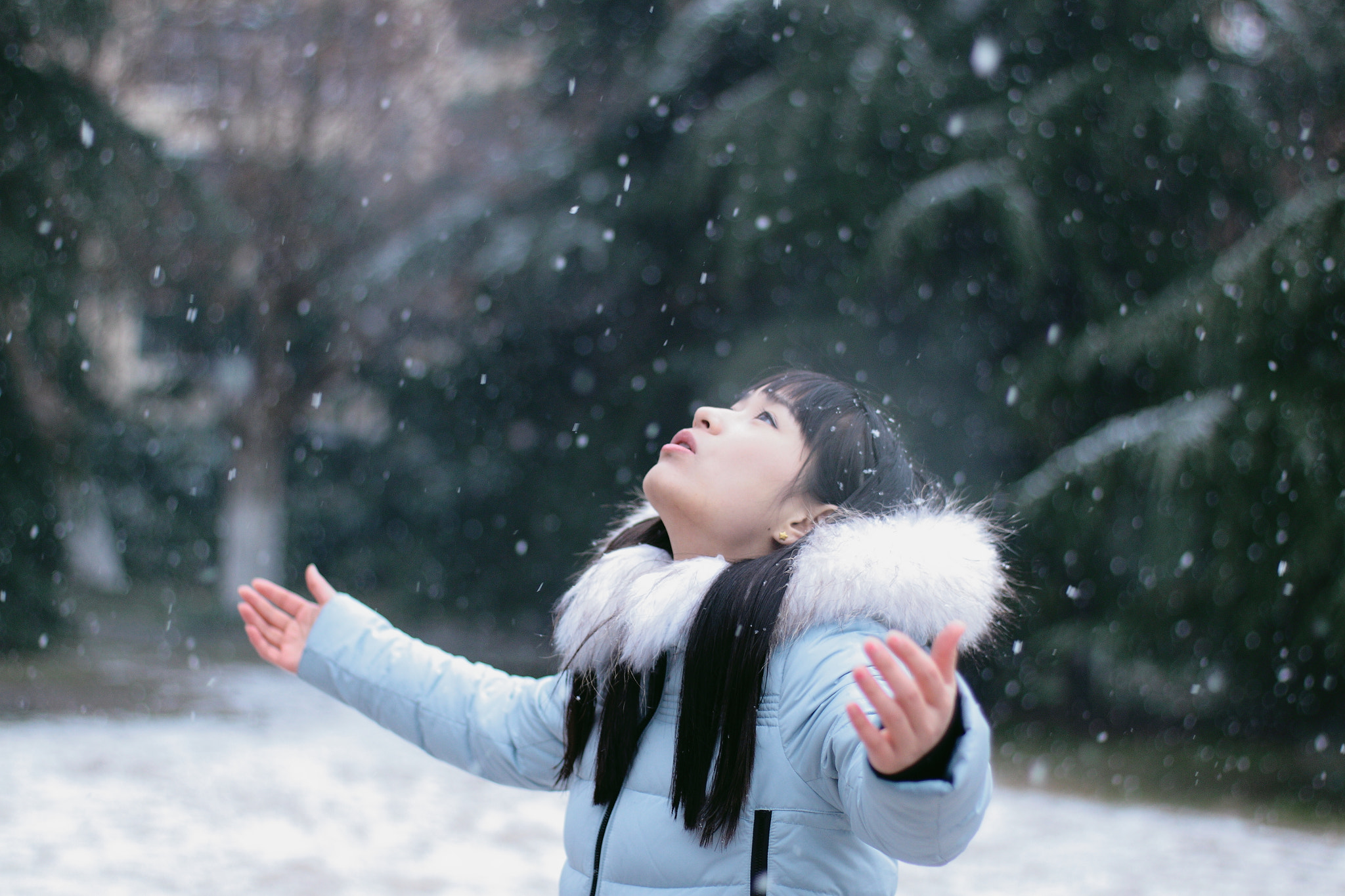Canon EF 35-80mm f/4-5.6 sample photo. Animo雪 photography