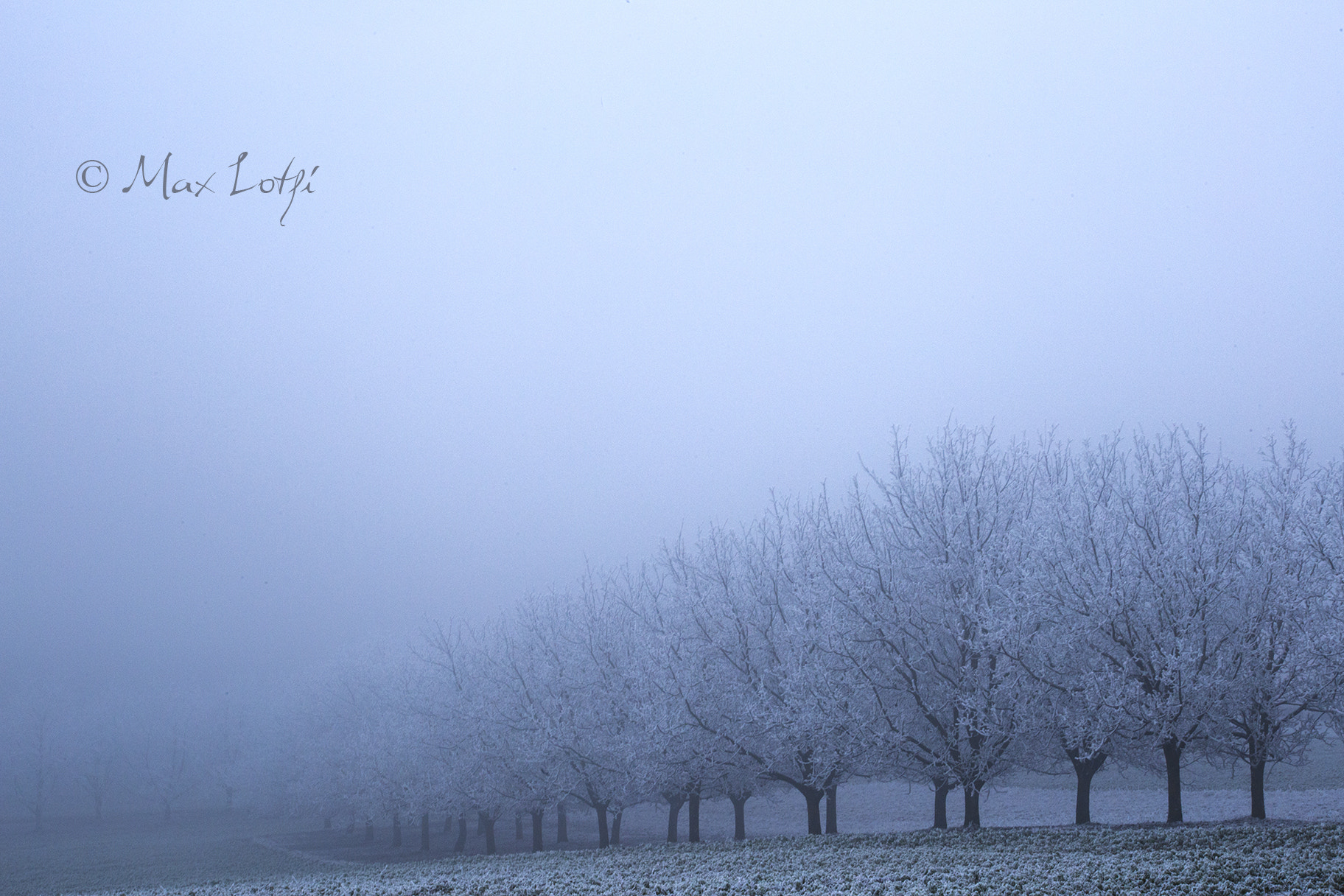 Canon EF 75-300mm f/4-5.6 USM sample photo. Landscape in the mist photography