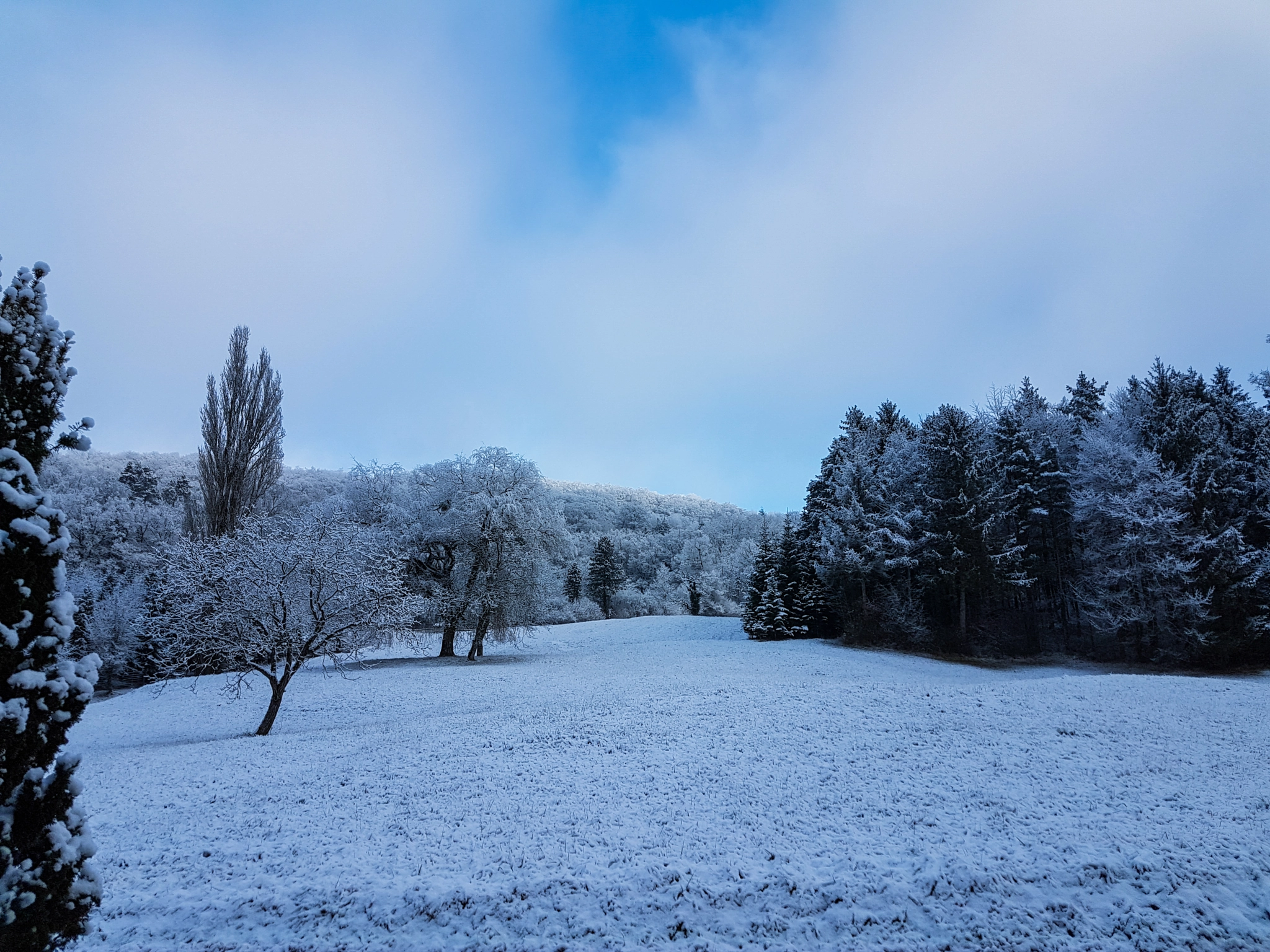 Samsung Galaxy S7 + Samsung Galaxy S7 Rear Camera sample photo. Winterstimmung im unterland / winter mood in lowlands  photography