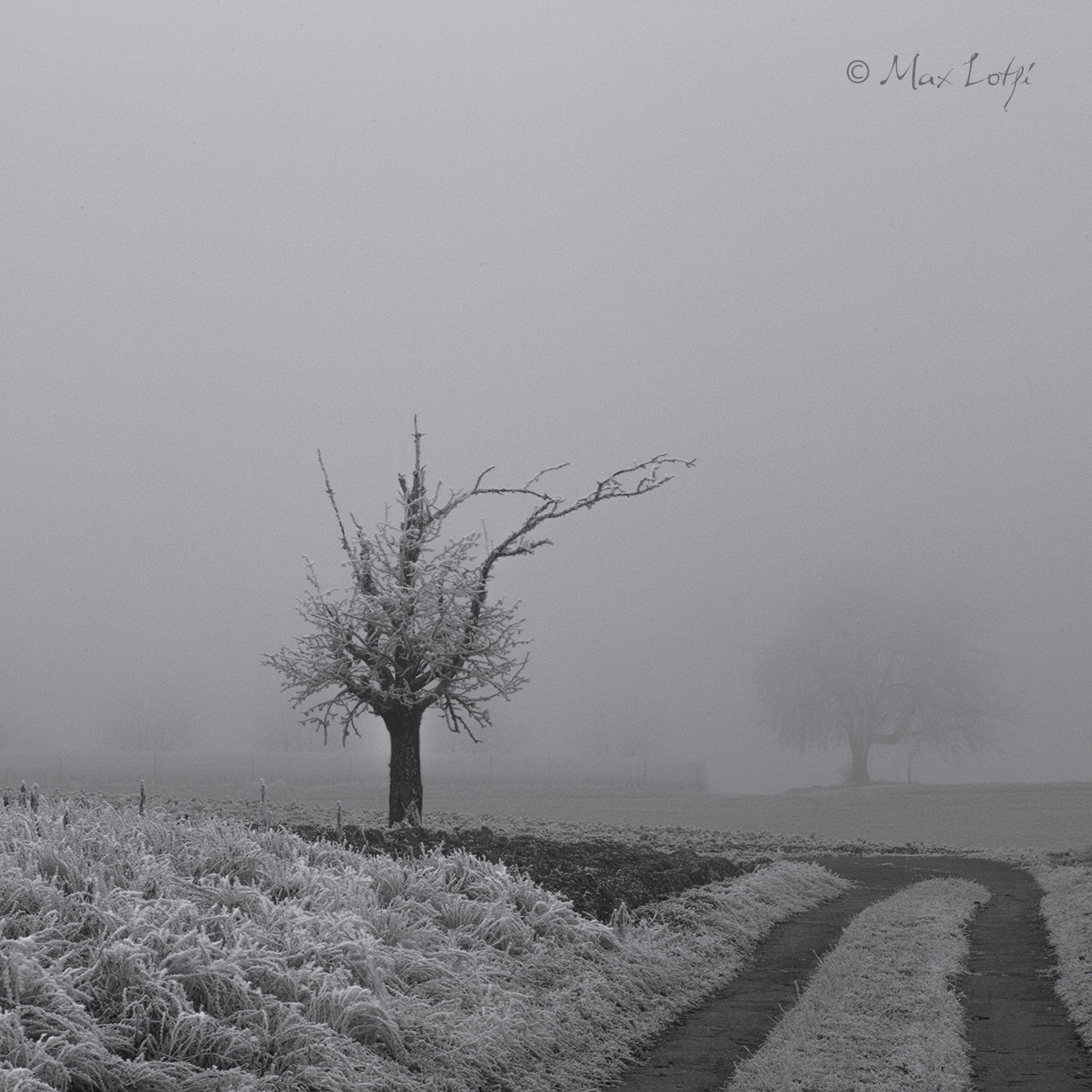 Canon EF 75-300mm f/4-5.6 USM sample photo. Landscape in the mist photography