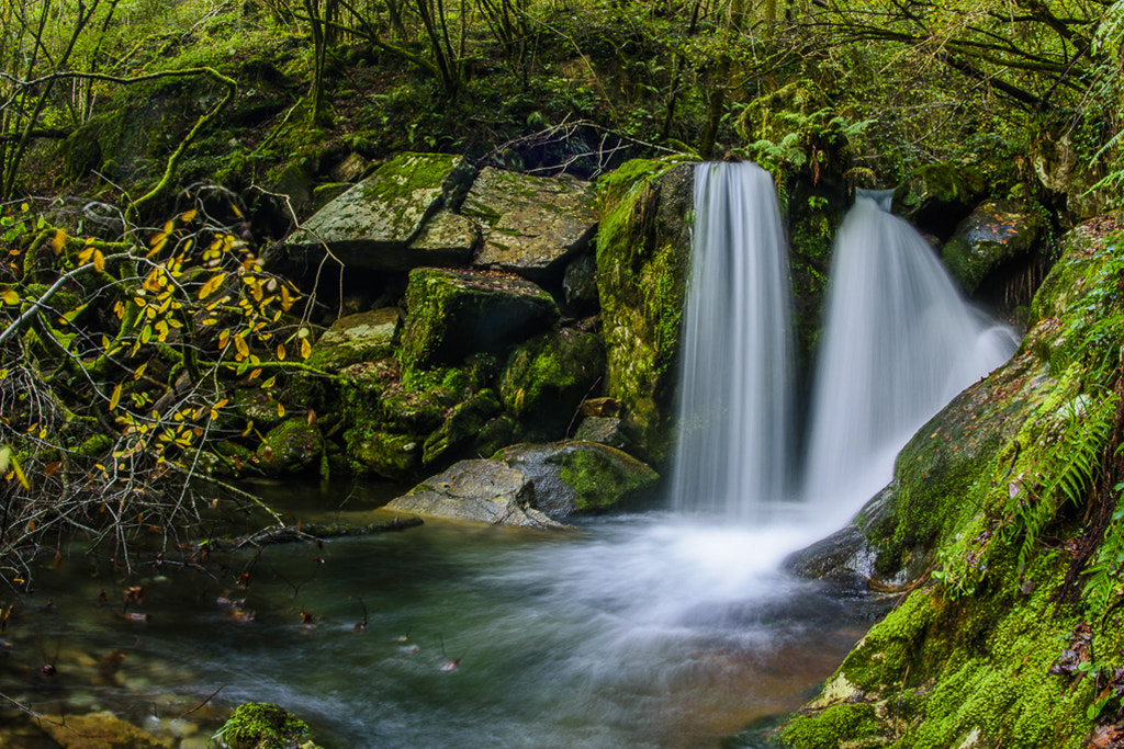 Nikon D7200 + Nikon AF Fisheye-Nikkor 16mm F2.8D sample photo. Fragas do eume photography