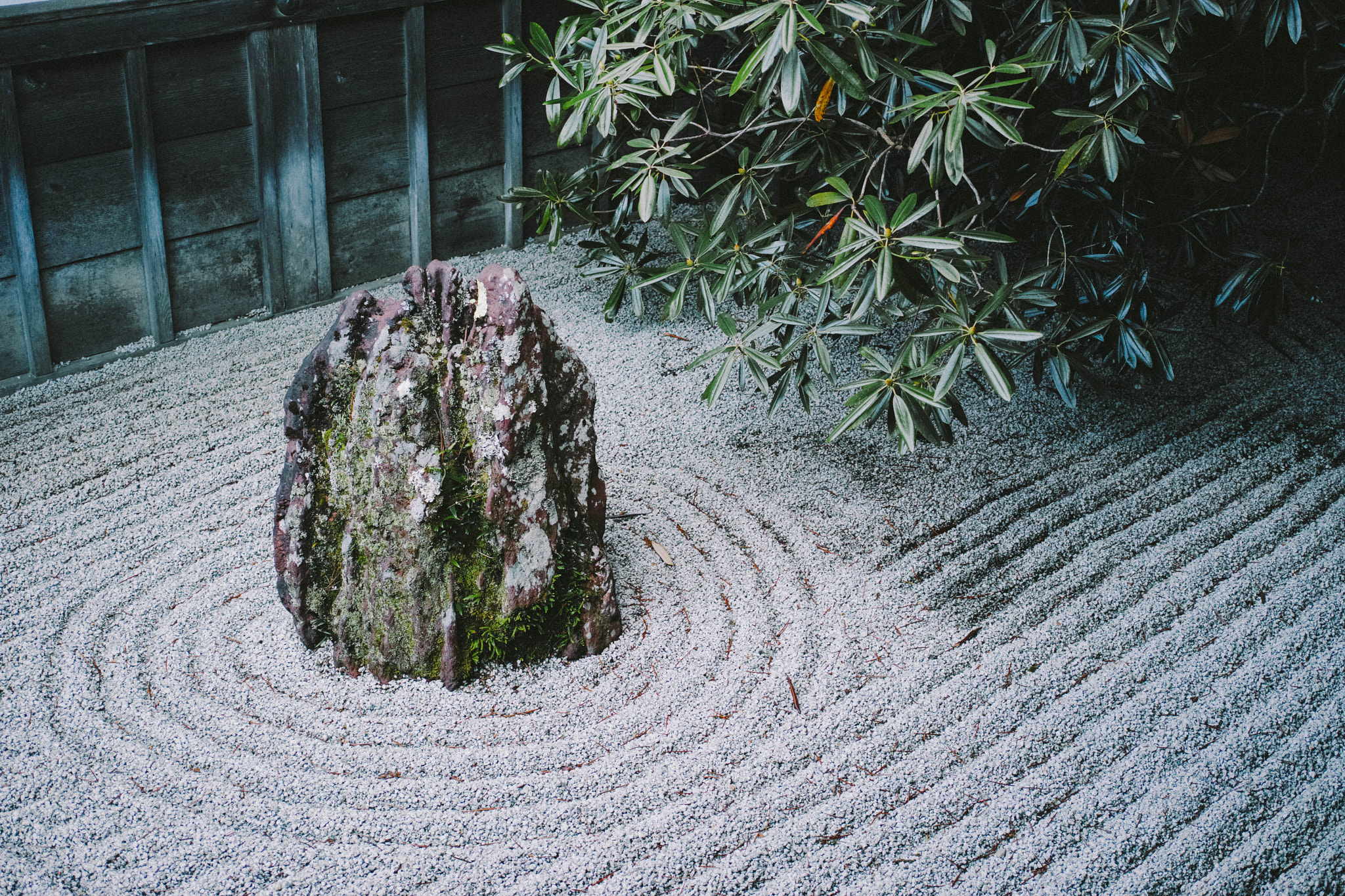 1007 sample photo. Karesansui in japan photography