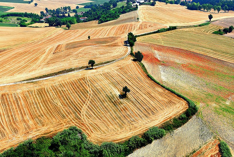 Nikon AF-S Nikkor 500mm F4D ED-IF II sample photo. Threshing the wheat photography