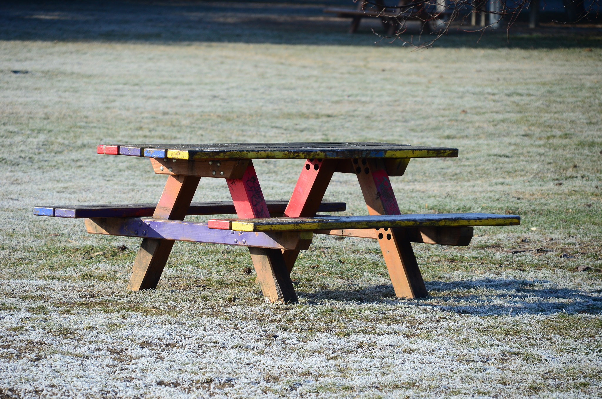 Sigma 18-200mm F3.5-6.3 DC OS HSM sample photo. Winter_picnic_ready photography