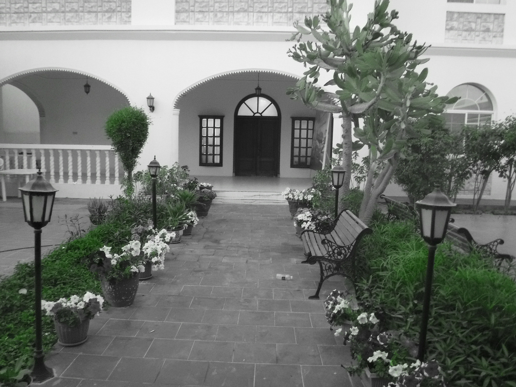 Fujifilm FinePix XP90 XP91 XP95 sample photo. Home sweet home photography