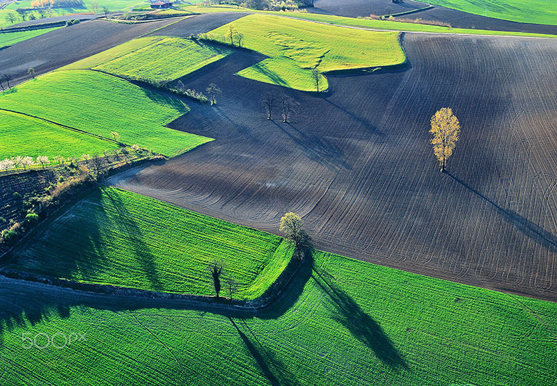 Nikon D800 + Nikon AF Nikkor 20mm F2.8D sample photo. Green field photography