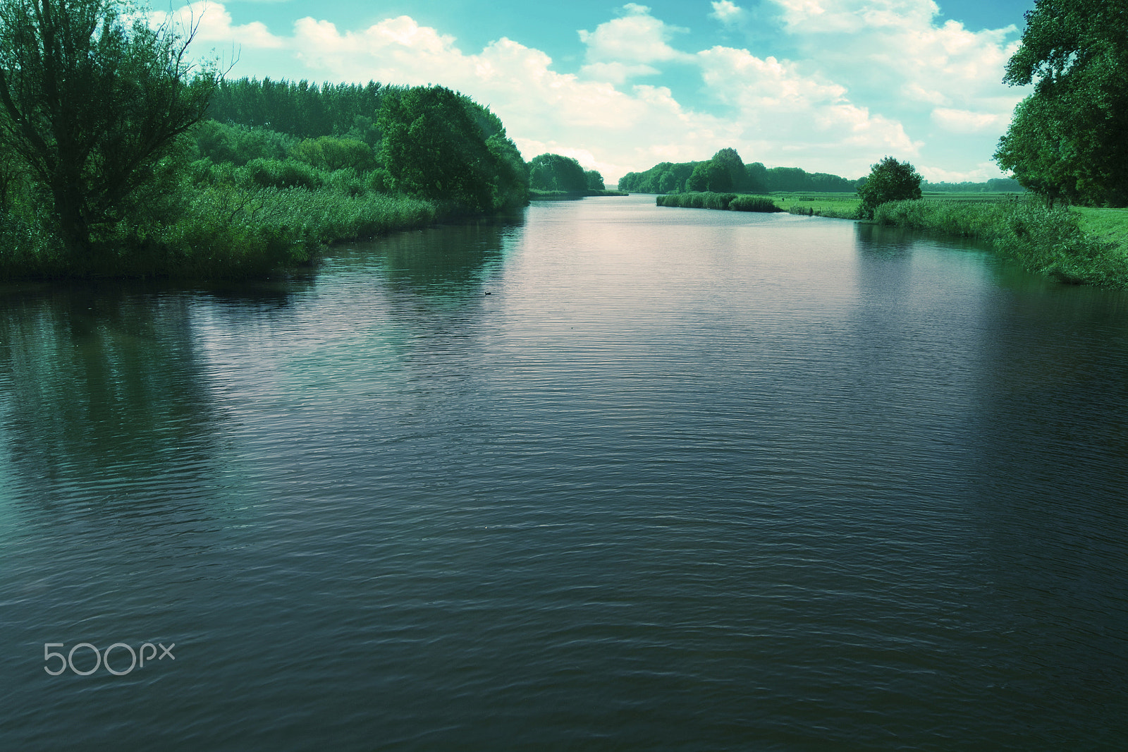 Sony Alpha DSLR-A500 + Sony DT 18-55mm F3.5-5.6 SAM sample photo. River with bushes, meadows and a blue sky photography