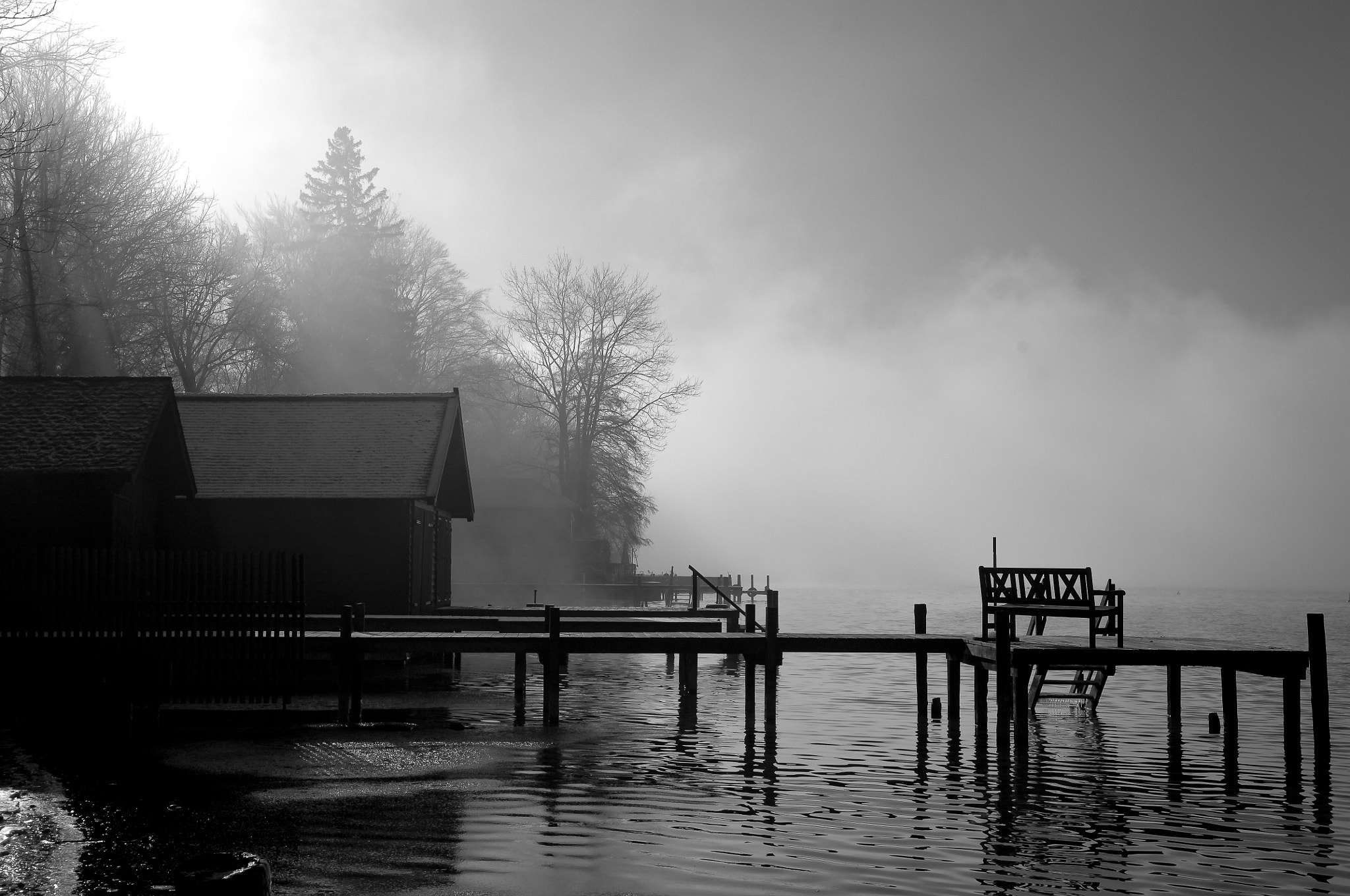 Nikon D2X sample photo. The bank in the fog photography
