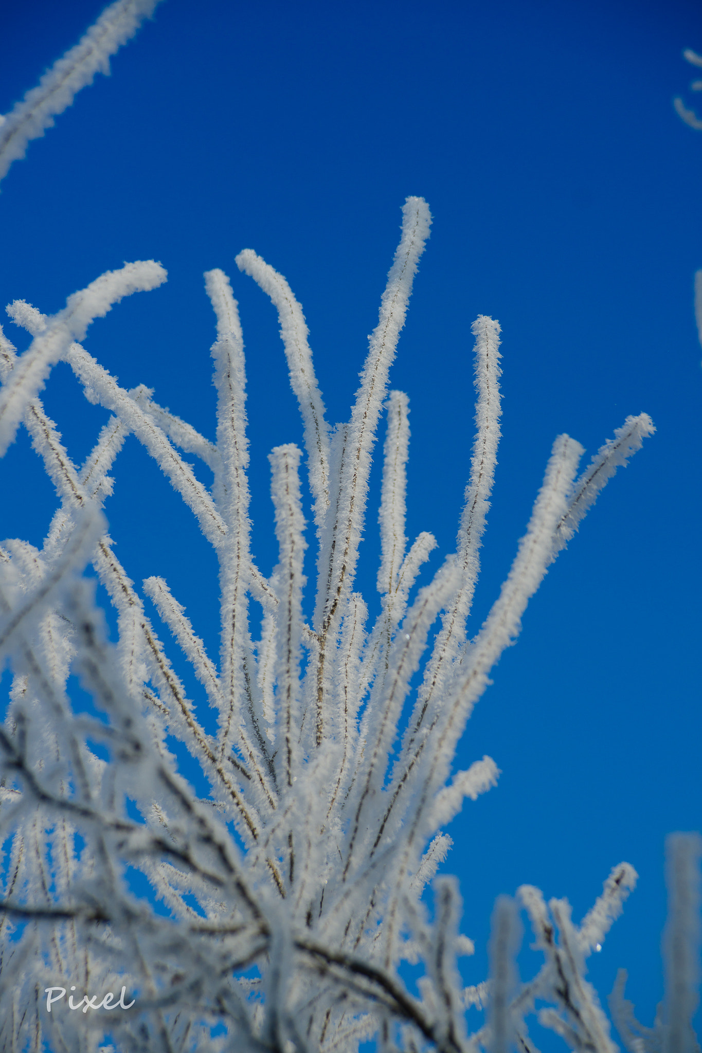 Sony Alpha DSLR-A850 sample photo. White and sky photography