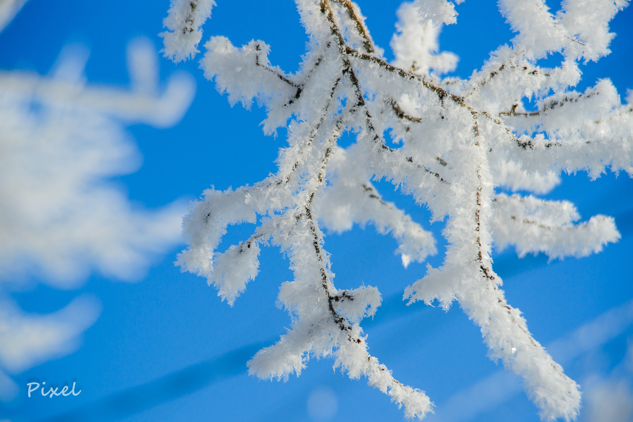 Sony Alpha DSLR-A850 sample photo. White and sky photography