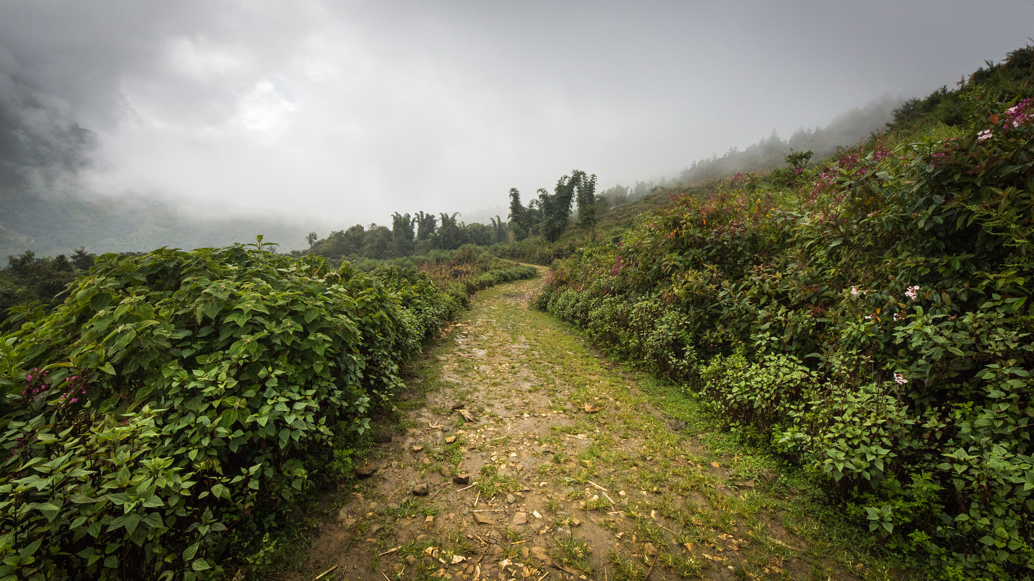 Canon EOS 600D (Rebel EOS T3i / EOS Kiss X5) + Sigma 8-16mm F4.5-5.6 DC HSM sample photo. Path to sapa photography