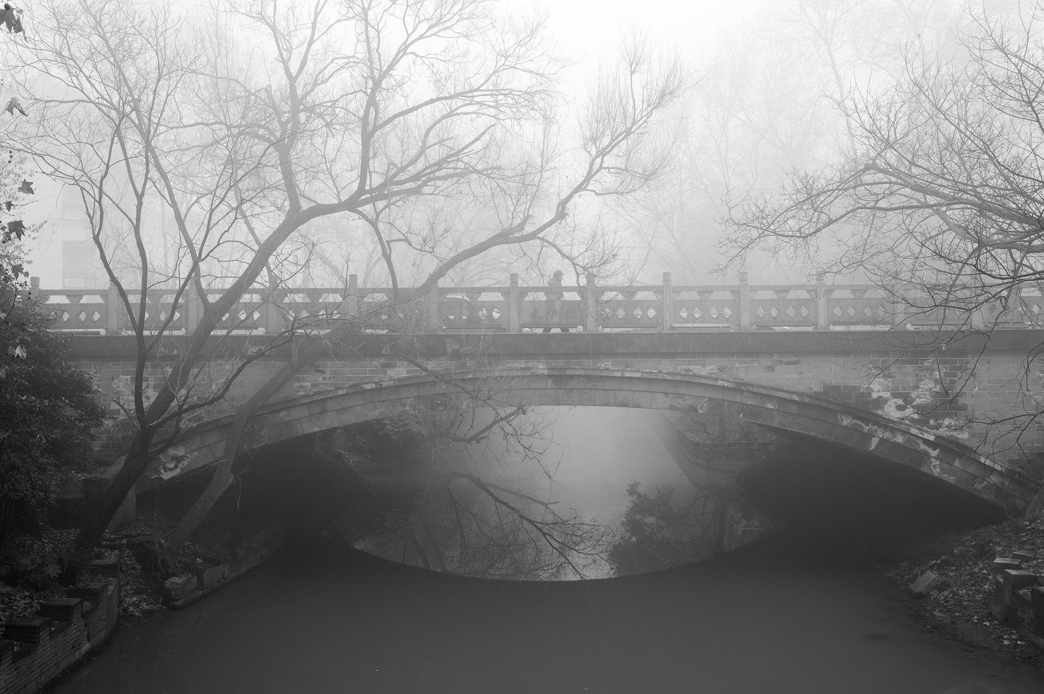 Nikon D4 sample photo. The morning mist photography