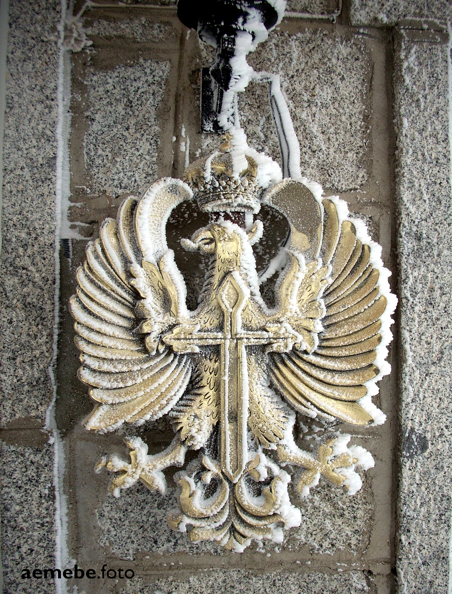 Nikon COOLPIX L10 sample photo. Escudo del ejercito de tierra photography