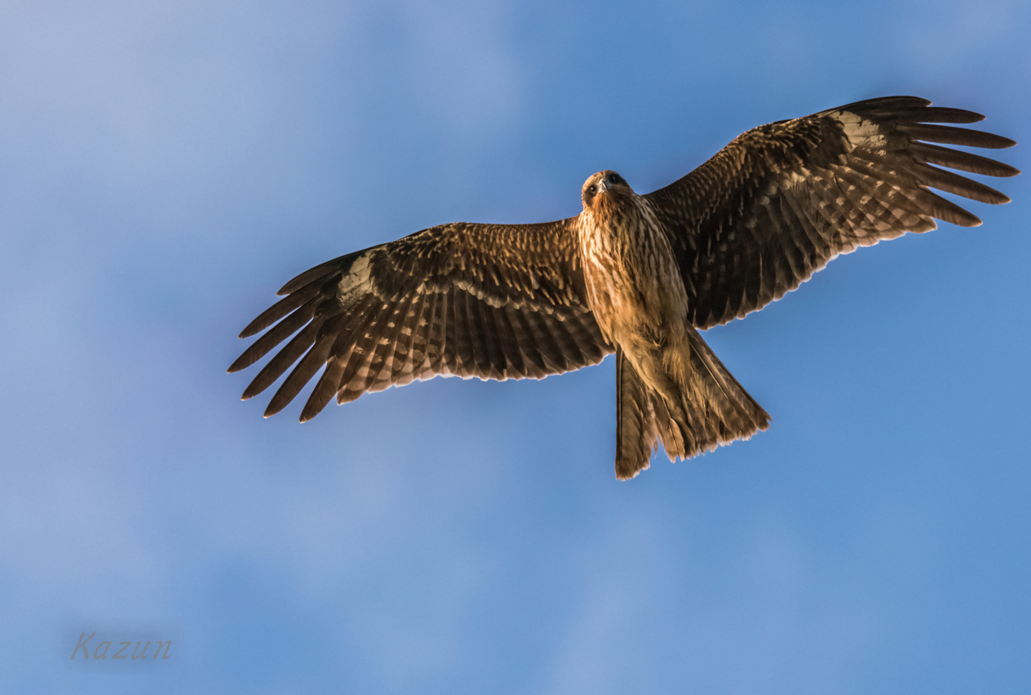 Sony 70-400mm F4-5.6 G SSM II sample photo. Patrol photography