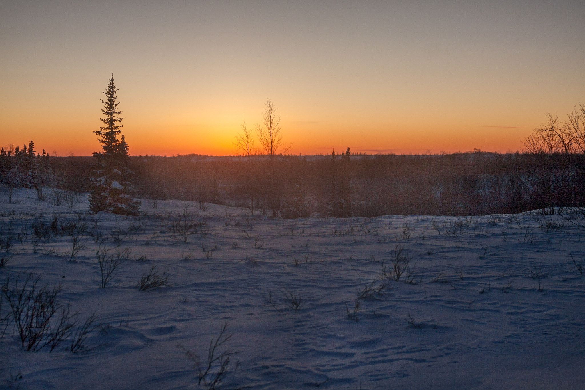Canon EF 50-200mm f/3.5-4.5L sample photo. After sunset photography