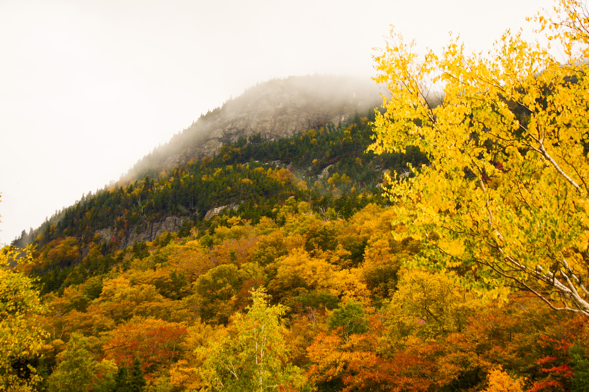 Sony Alpha NEX-3 sample photo. Autumn color photography