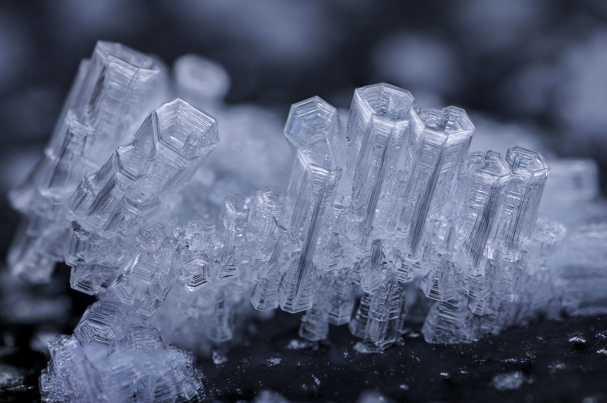 Nikon D300S + AF Micro-Nikkor 60mm f/2.8 sample photo. Ice crystals photography