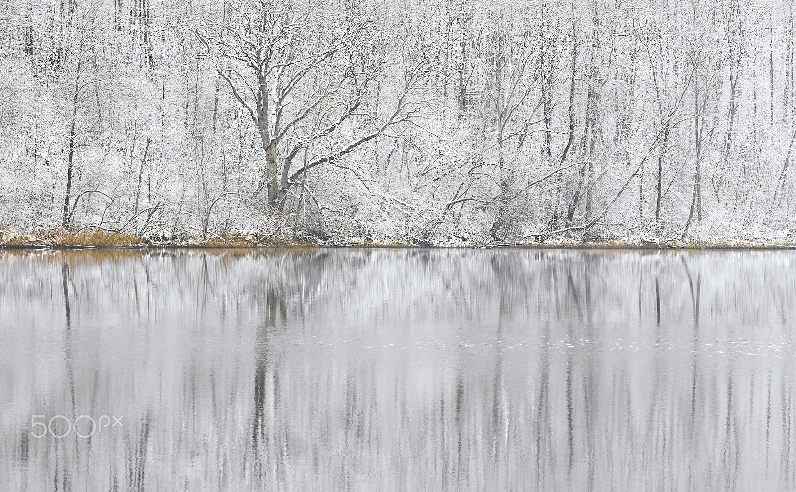 Canon EF 100mm F2.8 Macro USM sample photo. Lake in winter c photography